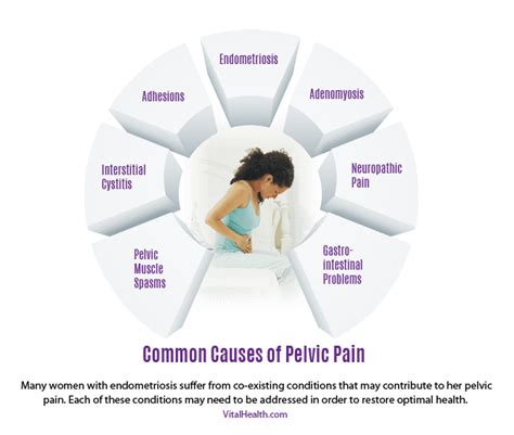 what causes pelvic pain in endometriosis